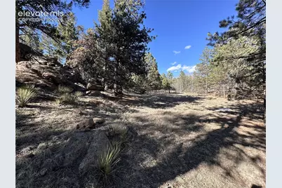 421 Crescent Drive, Florissant, CO 80816 - Photo 16