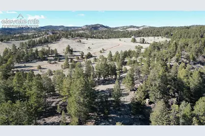 421 Crescent Drive, Florissant, CO 80816 - Photo 8