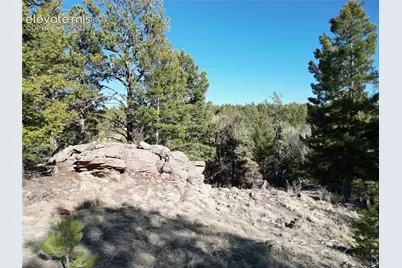 421 Crescent Drive, Florissant, CO 80816 - Photo 6