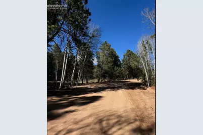 421 Crescent Drive, Florissant, CO 80816 - Photo 20