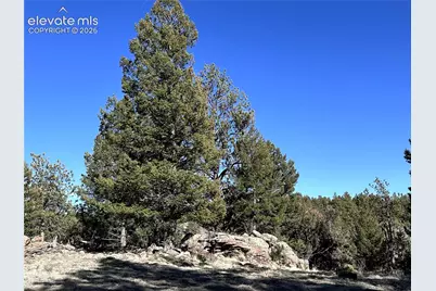 421 Crescent Drive, Florissant, CO 80816 - Photo 4