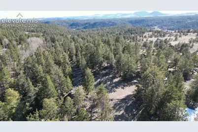 421 Crescent Drive, Florissant, CO 80816 - Photo 10