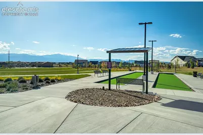 5989 Bennach Grove, Colorado Springs, CO 80927 - Photo 48