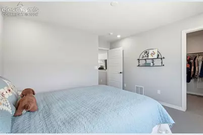 5989 Bennach Grove, Colorado Springs, CO 80927 - Photo 30