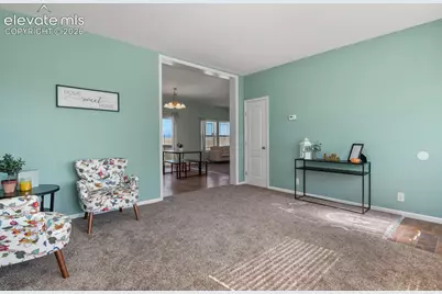 8132 Indian Village Heights, Fountain, CO 80817 - Photo 4
