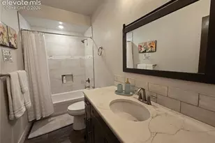 310 Spring Creek Dr, Divide, CO 80814 - Photo 30