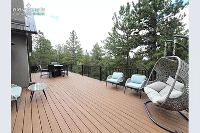 310 Spring Creek Drive, Divide, CO 80814 - Photo 22