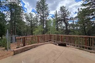 310 Spring Creek Dr, Divide, CO 80814 - Photo 40