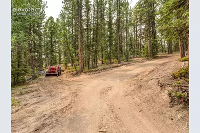 1459 Conestoga Creek Road, Florissant, CO 80816 - Photo 6