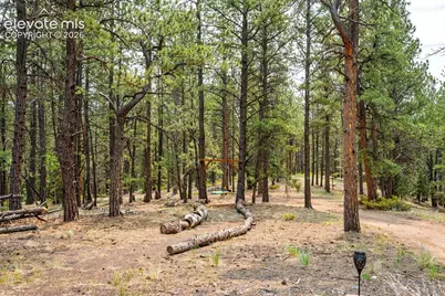 1459 Conestoga Creek Road, Florissant, CO 80816 - Photo 16