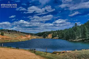 289 Cottonwood Lake Dr, Divide, CO 80814 - Photo 50