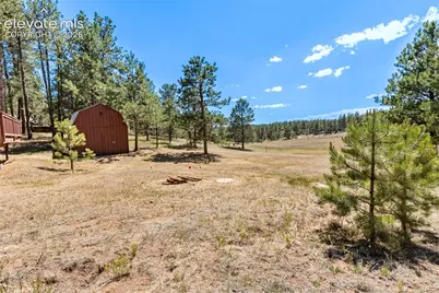 331 Rhyolite Lane, Florissant, CO 80816 - Photo 18