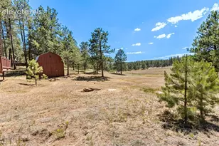 331 Rhyolite Ln, Florissant, CO 80816 - Photo 18
