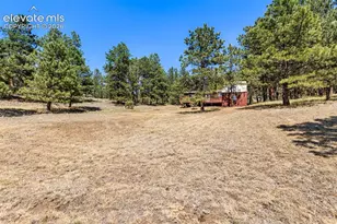 331 Rhyolite Ln, Florissant, CO 80816 - Photo 2