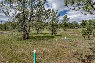 330 Arrowhead Drive, Florissant, CO 80816 - Photo 38