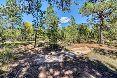 1867 Woodland Avenue, Woodland Park, CO 80863 - Photo 40