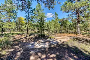 1867 Woodland Ave, Woodland Park, CO 80863 - Photo 40