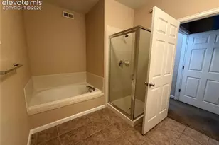 605 Cougar Bluff Point, Colorado Springs, CO 80906 - Photo 12