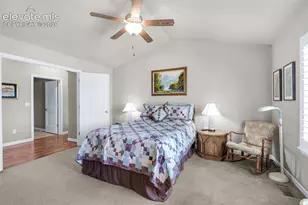 9828 Surrey Run Dr, Colorado Springs, CO 80924 - Photo 14