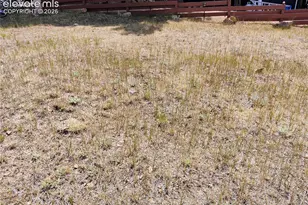 218 Spicer Ave, Victor, CO 80860 - Photo 8