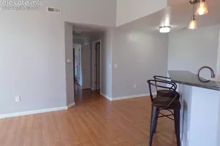 605 Cougar Bluff Point, Colorado Springs, CO 80906 - Photo 14