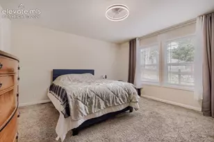 7823 Grizzly Bear Point, Colorado Springs, CO 80922 - Photo 14