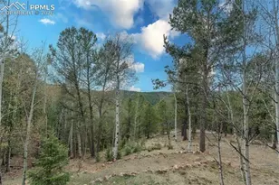 847 Timber Ridge Rd, Divide, CO 80814 - Photo 40