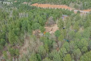 847 Timber Ridge Rd, Divide, CO 80814 - Photo 30