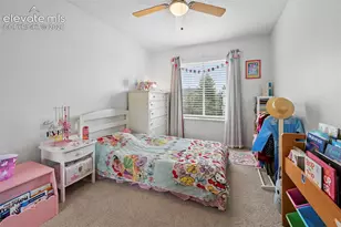 7834 Potomac Dr, Colorado Springs, CO 80920 - Photo 22
