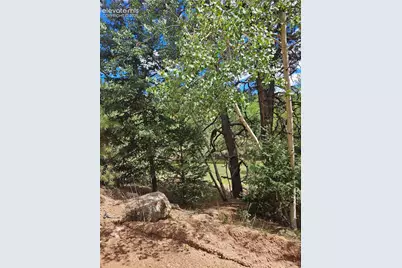 430 Pinon Lane, Florissant, CO 80816 - Photo 8
