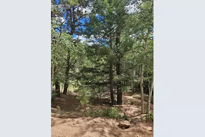 430 Pinon Lane, Florissant, CO 80816 - Photo 12