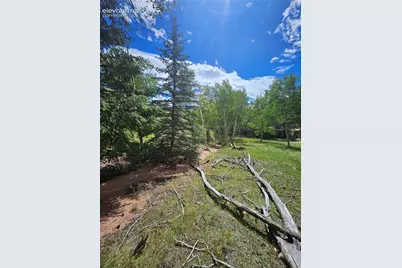 430 Pinon Lane, Florissant, CO 80816 - Photo 34