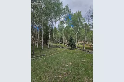 430 Pinon Lane, Florissant, CO 80816 - Photo 28