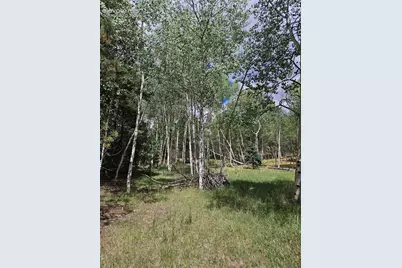 430 Pinon Lane, Florissant, CO 80816 - Photo 22
