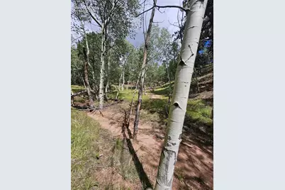 430 Pinon Lane, Florissant, CO 80816 - Photo 36