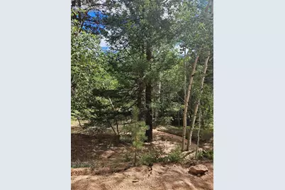 430 Pinon Lane, Florissant, CO 80816 - Photo 10