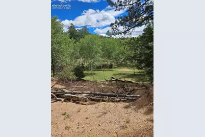 430 Pinon Lane, Florissant, CO 80816 - Photo 6