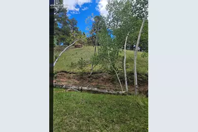 430 Pinon Lane, Florissant, CO 80816 - Photo 30