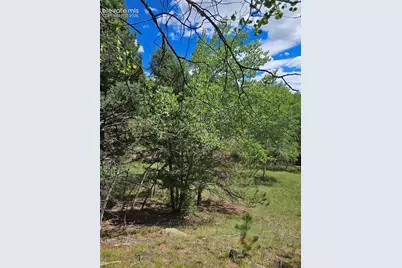 430 Pinon Lane, Florissant, CO 80816 - Photo 2