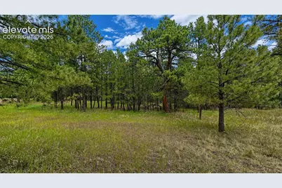 00 Westwood Road, Colorado Springs, CO 80919 - Photo 8