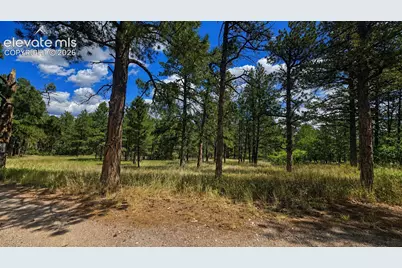 00 Westwood Road, Colorado Springs, CO 80919 - Photo 2