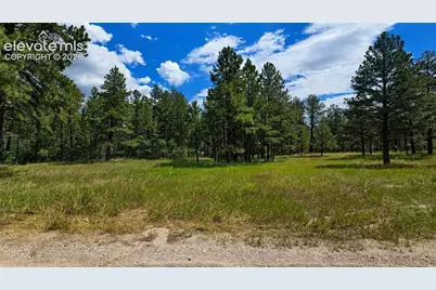00 Westwood Road, Colorado Springs, CO 80919 - Photo 6