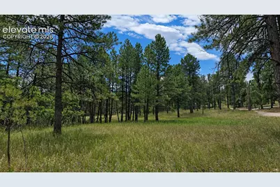 00 Westwood Road, Colorado Springs, CO 80919 - Photo 10