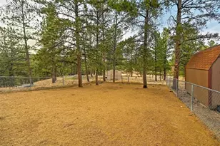 31 Wallace Dr, Florissant, CO 80816 - Photo 30