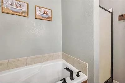 31 Wallace Drive, Florissant, CO 80816 - Photo 12