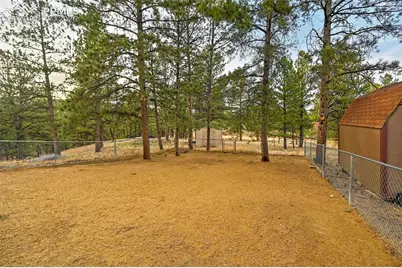 31 Wallace Drive, Florissant, CO 80816 - Photo 30