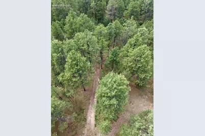 19953 Vista Clara Lane, Monument, CO 80132 - Photo 4