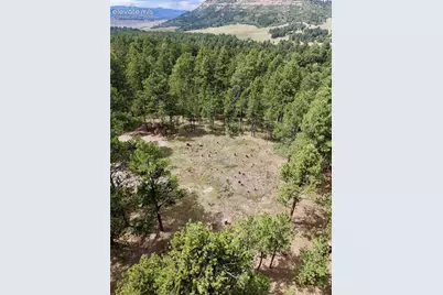 19953 Vista Clara Lane, Monument, CO 80132 - Photo 12