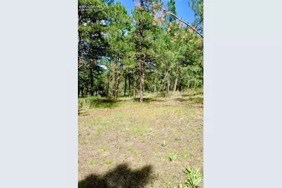 19953 Vista Clara Lane, Monument, CO 80132 - Photo 6