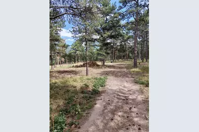19953 Vista Clara Lane, Monument, CO 80132 - Photo 16